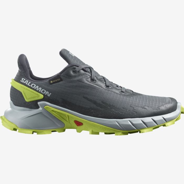 Salomon ALPHACROSS 4 GORE-TEX Muške Tenisice Za Trčanje Plave Svijetlo Zelene | EKY1r83D