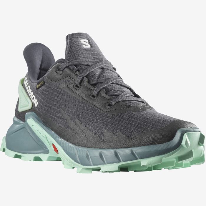 Salomon ALPHACROSS 4 GORE-TEX Ženske Tenisice Za Trčanje Ebony / Trellis / Yucca | Xm0HwalR