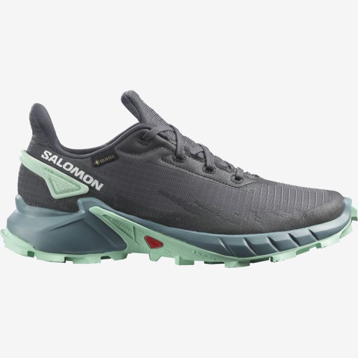 Salomon ALPHACROSS 4 GORE-TEX Ženske Tenisice Za Trčanje Ebony / Trellis / Yucca | Xm0HwalR