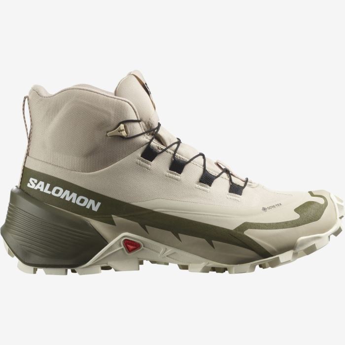 Salomon CROSS HIKE 2 MID GORE-TEX Ženske Cipele Za Planinarenje Sive Maslinasto Zelene Bijele | Slzd3SaB