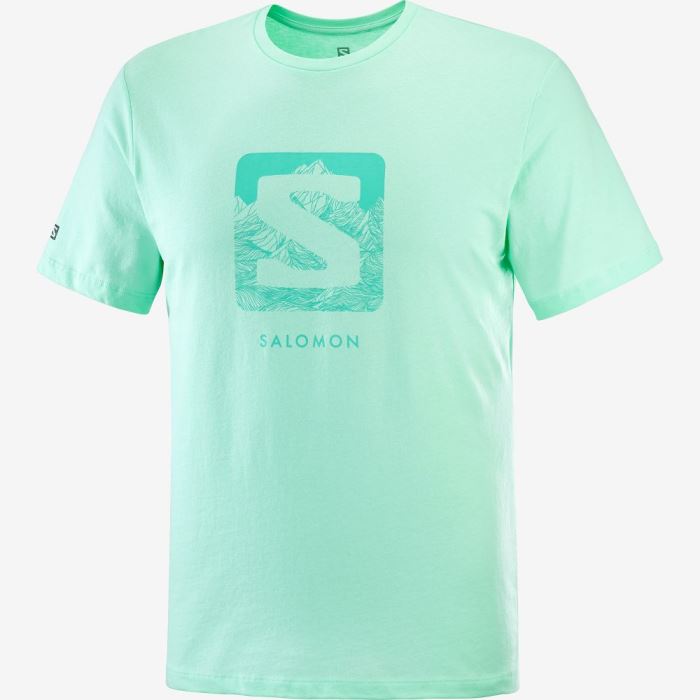 Salomon OUTLIFE LOGO Muške Majice Beach Glass | WeFMaXv9