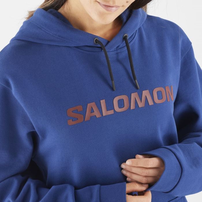 Salomon OUTLIFE LOGO WINTER Muške Midlayers Tamnoplave Smeđe | GIacyaop