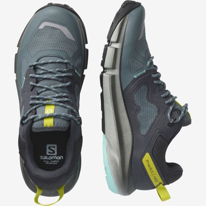 Salomon PREDICT HIKE GORE-TEX Ženske Cipele Za Planinarenje Smeđe Tirkizne | GGWnNfWb