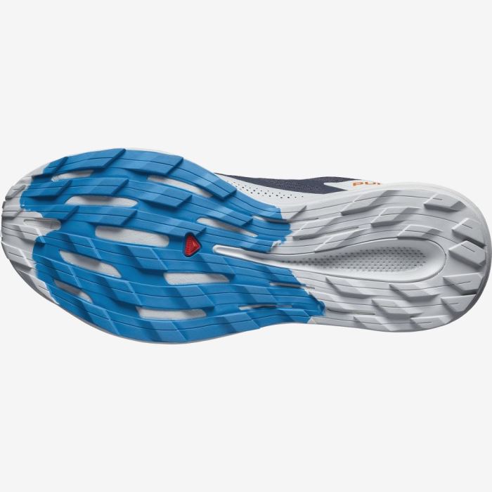 Salomon PULSAR TRAIL GORE-TEX Muške Tenisice Za Trčanje Indigo | RjJwTaB2