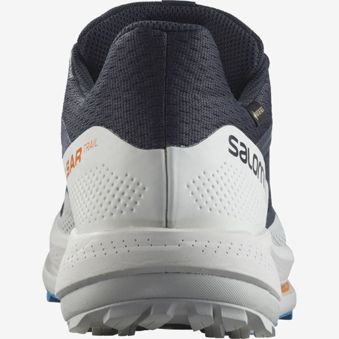 Salomon PULSAR TRAIL GORE-TEX Muške Tenisice Za Trčanje Indigo | RjJwTaB2