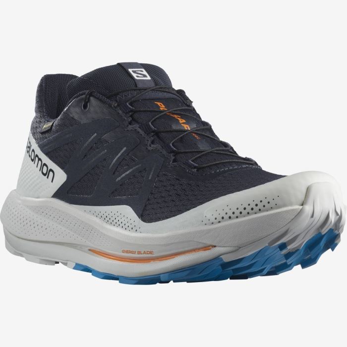 Salomon PULSAR TRAIL GORE-TEX Muške Tenisice Za Trčanje Indigo | RjJwTaB2