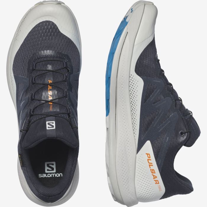 Salomon PULSAR TRAIL GORE-TEX Muške Tenisice Za Trčanje Indigo | RjJwTaB2