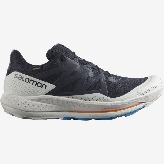 Salomon PULSAR TRAIL GORE-TEX Muške Tenisice Za Trčanje Indigo | RjJwTaB2