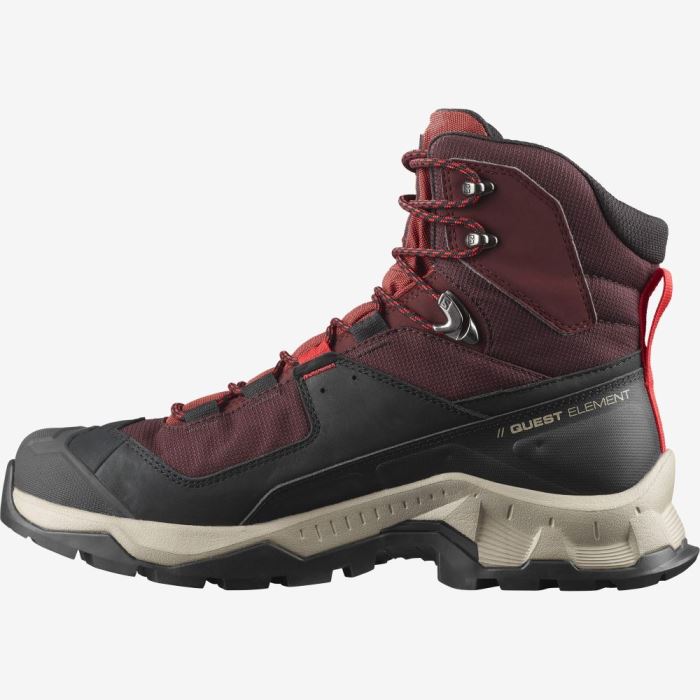 Salomon QUEST ELEMENT GORE-TEX Muške Cipele Za Planinarenje Čokoladne Ljubičaste Smeđe | 34G8R4vW