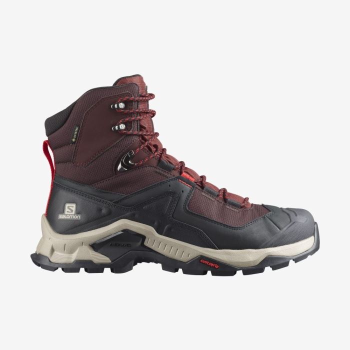 Salomon QUEST ELEMENT GORE-TEX Muške Cipele Za Planinarenje Čokoladne Ljubičaste Smeđe | 34G8R4vW