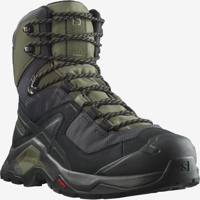 Salomon QUEST ELEMENT GORE-TEX Muške Cipele Za Planinarenje Crne Tamno Zelene Maslinasto Zelene | NPCCLx22