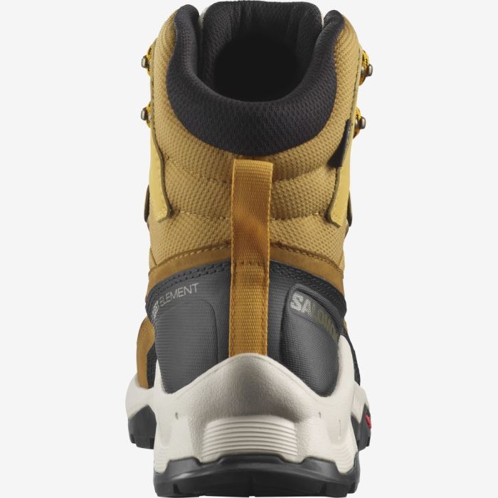 Salomon QUEST ELEMENT GORE-TEX Muške Cipele Za Planinarenje Cumin / Bleached Sand / Saffron | lBokcEpY