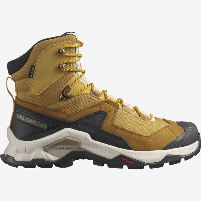 Salomon QUEST ELEMENT GORE-TEX Muške Cipele Za Planinarenje Cumin / Bleached Sand / Saffron | lBokcEpY