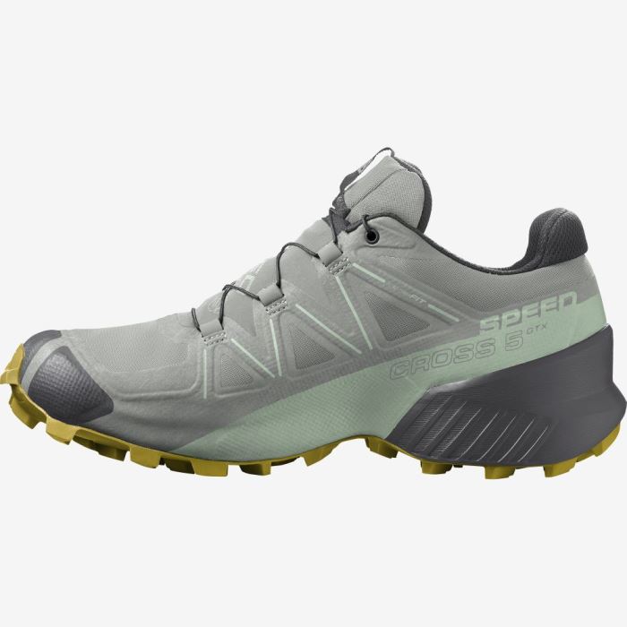 Salomon SPEEDCROSS 5 GORE-TEX Ženske Tenisice Za Trčanje Wrought Iron / Spray / Antique Moss | FglfiuWG