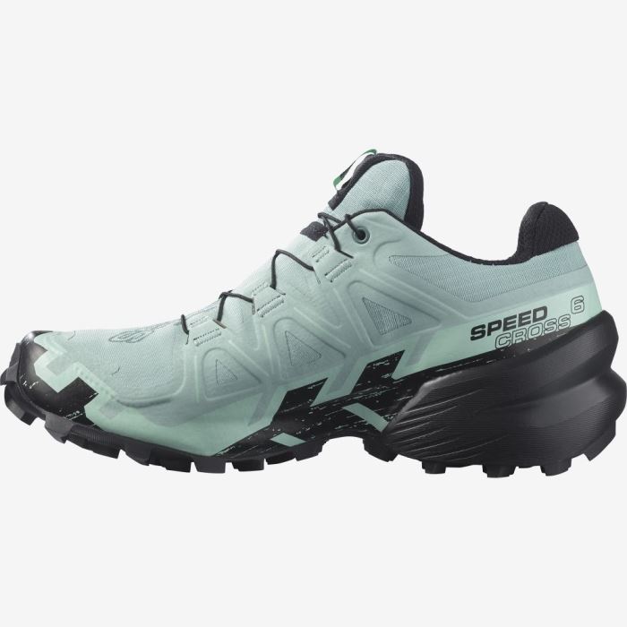 Salomon SPEEDCROSS 6 GORE-TEX Ženske Tenisice Za Trčanje Crne | ZOAFGAtX