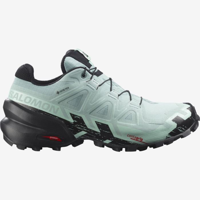 Salomon SPEEDCROSS 6 GORE-TEX Ženske Tenisice Za Trčanje Crne | ZOAFGAtX