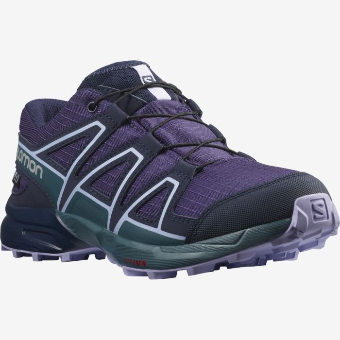 Salomon SPEEDCROSS CLIMASALOMON™ WATERPROOF Dječje Cipele Za Planinarenje Ljubičaste Plave Boje Lavande | 9rmBqFmH