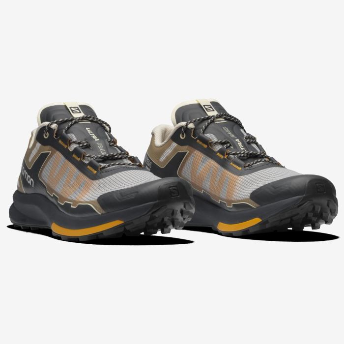 Salomon ULTRA RAID Muške Tenisice Ebony / Bleached Sand / Autumn Blaze | zvGNSsF8