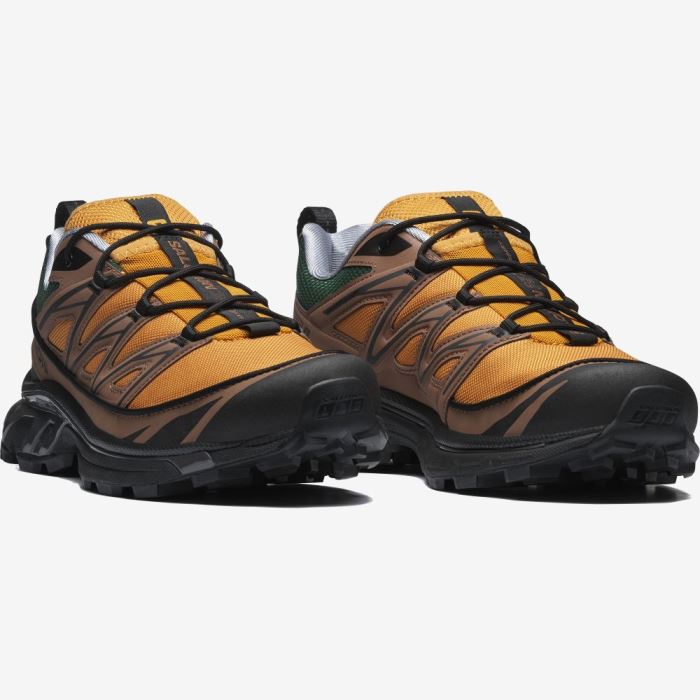 Salomon XT-6 EXPANSE 75TH Muške Tenisice Zlatne Crne | I2c9SSvk