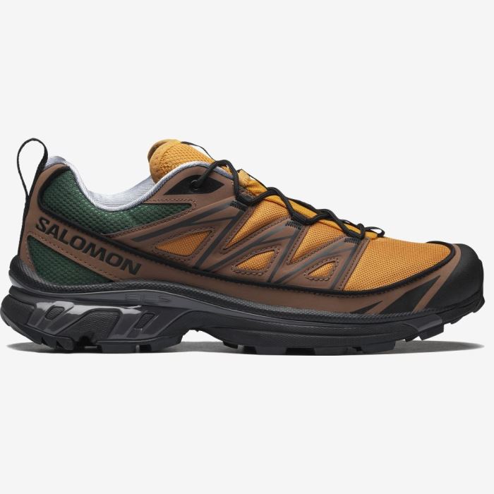 Salomon XT-6 EXPANSE 75TH Muške Tenisice Zlatne Crne | I2c9SSvk