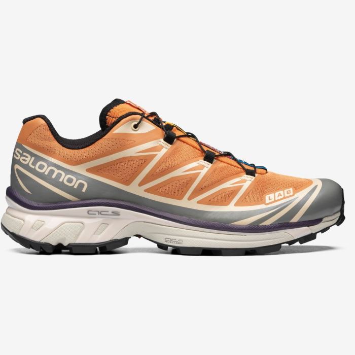 Salomon XT-6 Muške Tenisice Boje Marelice Sive | 01Hxxvzn