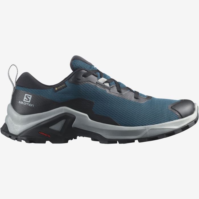 Salomon X REVEAL 2 GORE-TEX Muške Cipele Za Planinarenje Plave Crne | aMQRcrs0