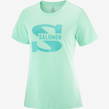 Salomon OUTLIFE BIG LOGO Ženske Majice Beach Glass | czWqdMxI