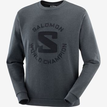 Salomon OUTLIFE LOGO SUMMER HEATHER Muške Midlayers Ebony / Heather | D0AmNV9B