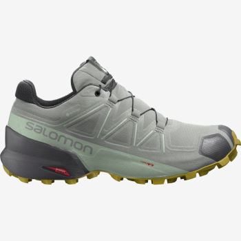 Salomon SPEEDCROSS 5 GORE-TEX Ženske Tenisice Za Trčanje Wrought Iron / Spray / Antique Moss | FglfiuWG