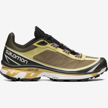 Salomon XT-6 FT Ženske Tenisice Zelene | 2Jxk37jN