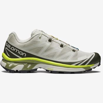 Salomon XT-6 Muške Tenisice Lunar Rock / Magnet / Epsom | XSnIFEkw