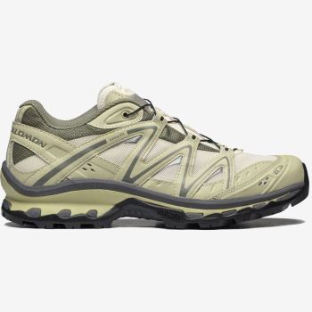 Salomon XT-QUEST Muške Tenisice Sive | Lr4mcvbd